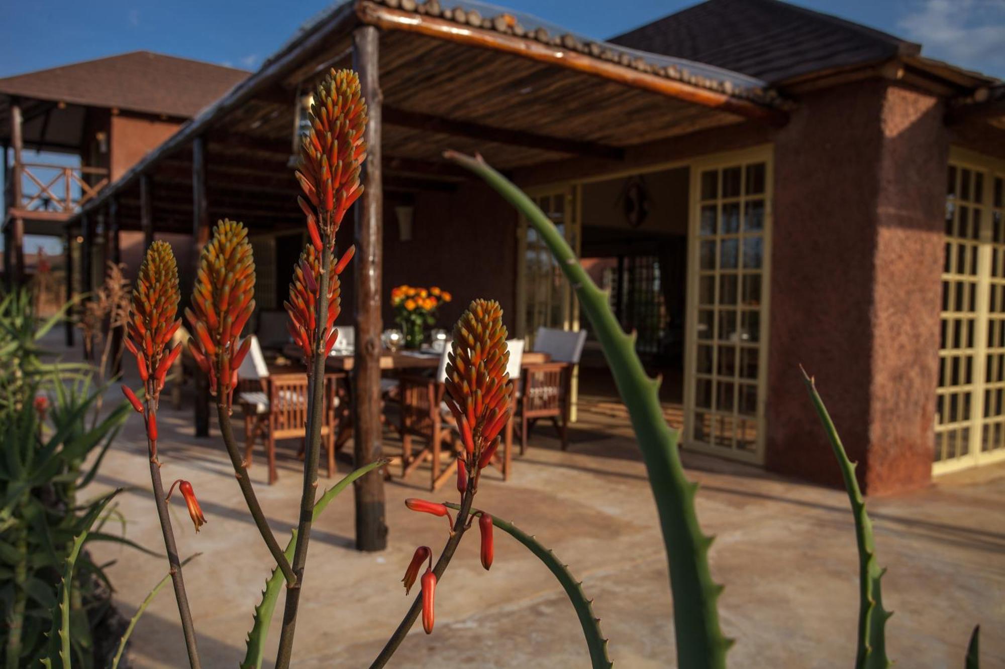 Kili Villa Kilimanjaro Luxury Retreat Arusha Quarto foto